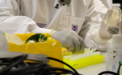 a close up shows a researcher working at a lab bench 